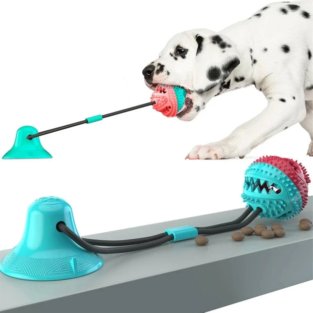 Starlyst Hunde-Kauball