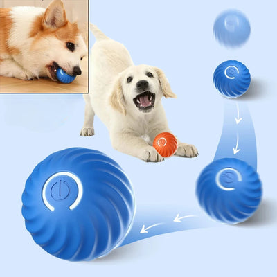 Starlyst Smarter Spielball für Hunde