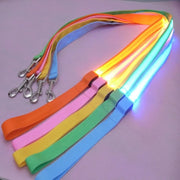 Starlyst LED-Hundeleine