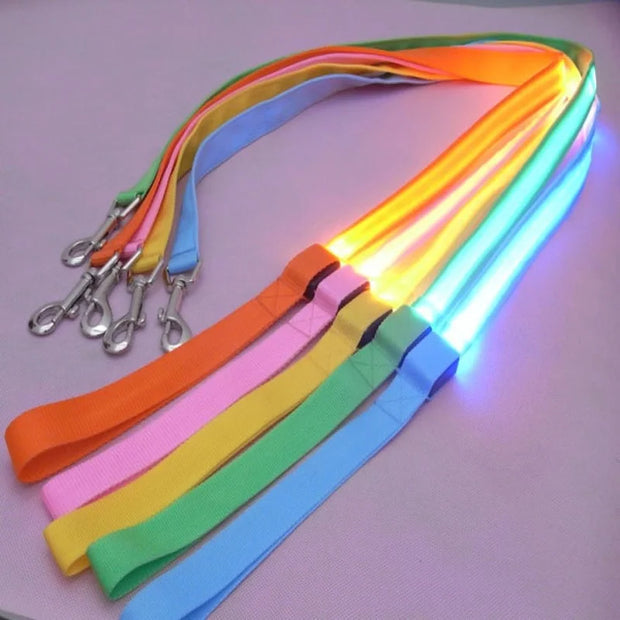 Starlyst LED-Hundeleine