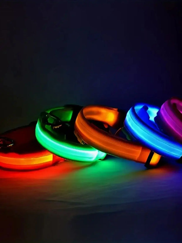 Starlyst LED-Hundehalsband