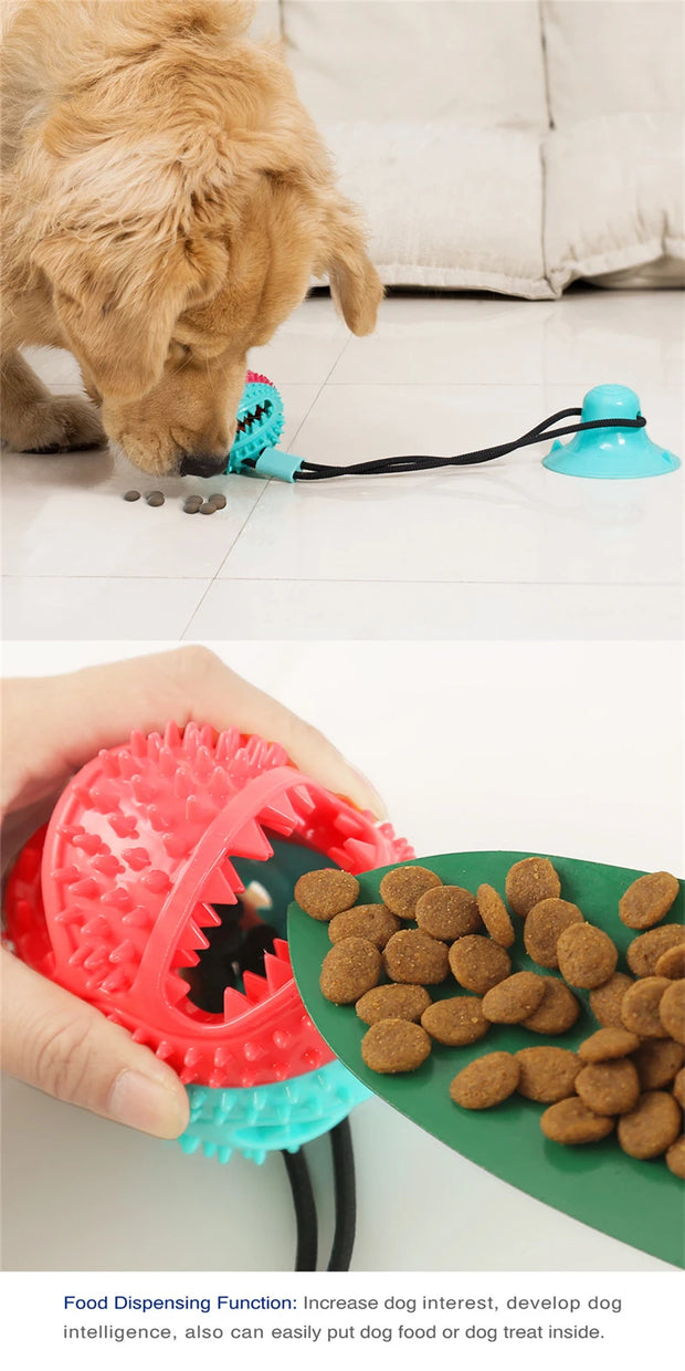 Starlyst Hunde-Kauball