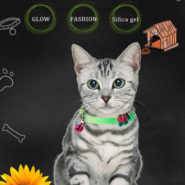 Starlyst LED-Katzenhalsband