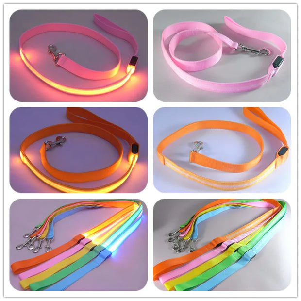 Starlyst LED-Hundeleine
