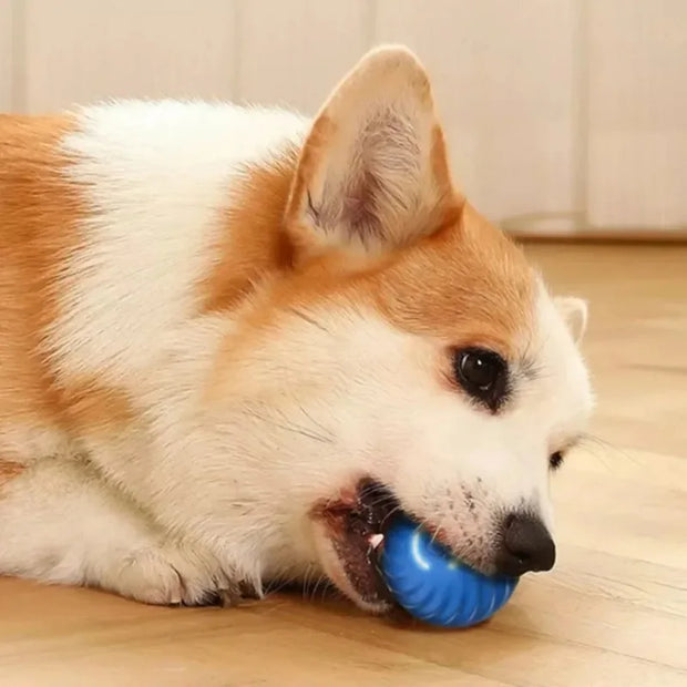 Starlyst Smarter Spielball für Hunde