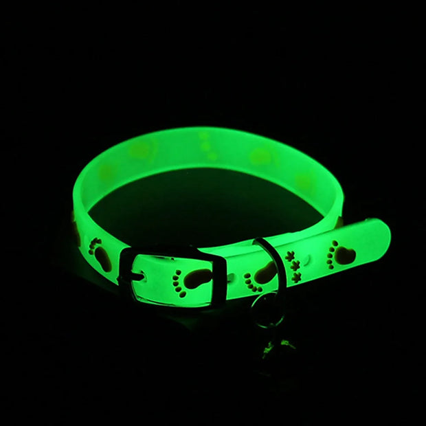 Starlyst LED-Katzenhalsband