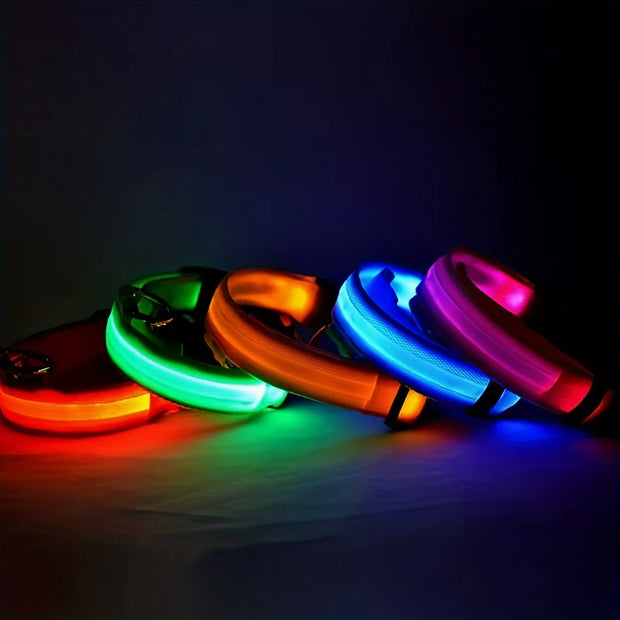 Starlyst LED-Hundehalsband