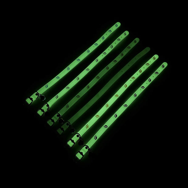 Starlyst LED-Katzenhalsband