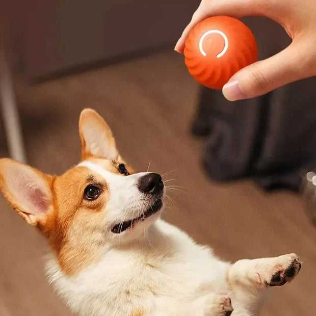 Starlyst Smarter Spielball für Hunde