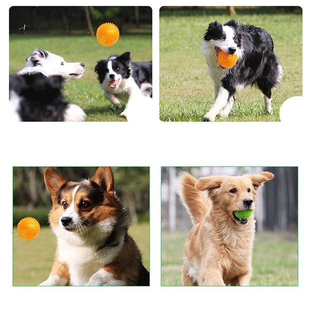 Starlyst Hunde-Springball