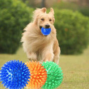 Starlyst Hunde-Springball